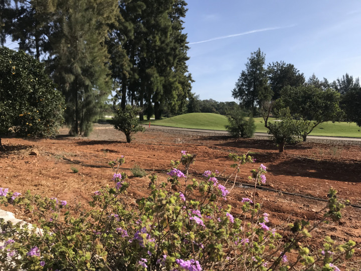 Portugal Algarve (17)