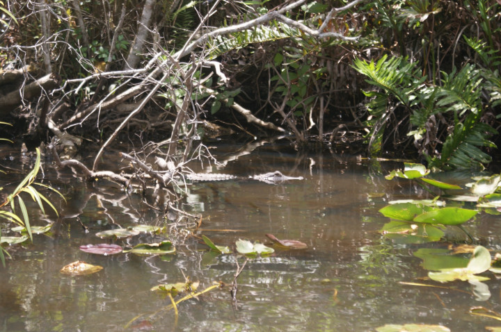 Roadtrip Miami To Key West (14)