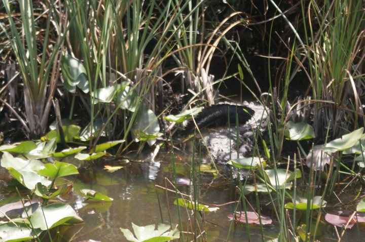 Roadtrip Miami To Key West (16)