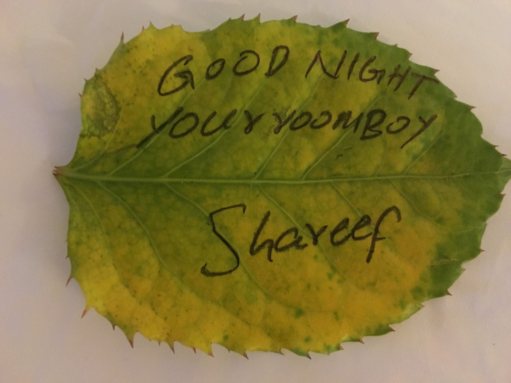 Maldives Roomboy Shareef