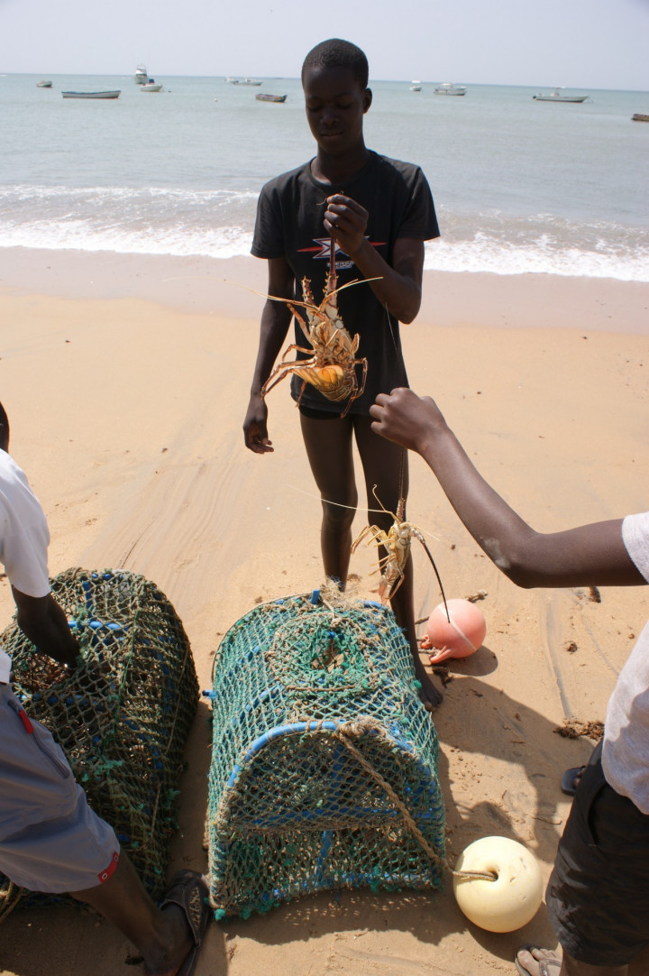 Een Week In Senegal Worldwidewendy