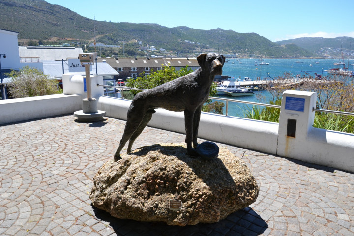 Simonstown Just Nuisance