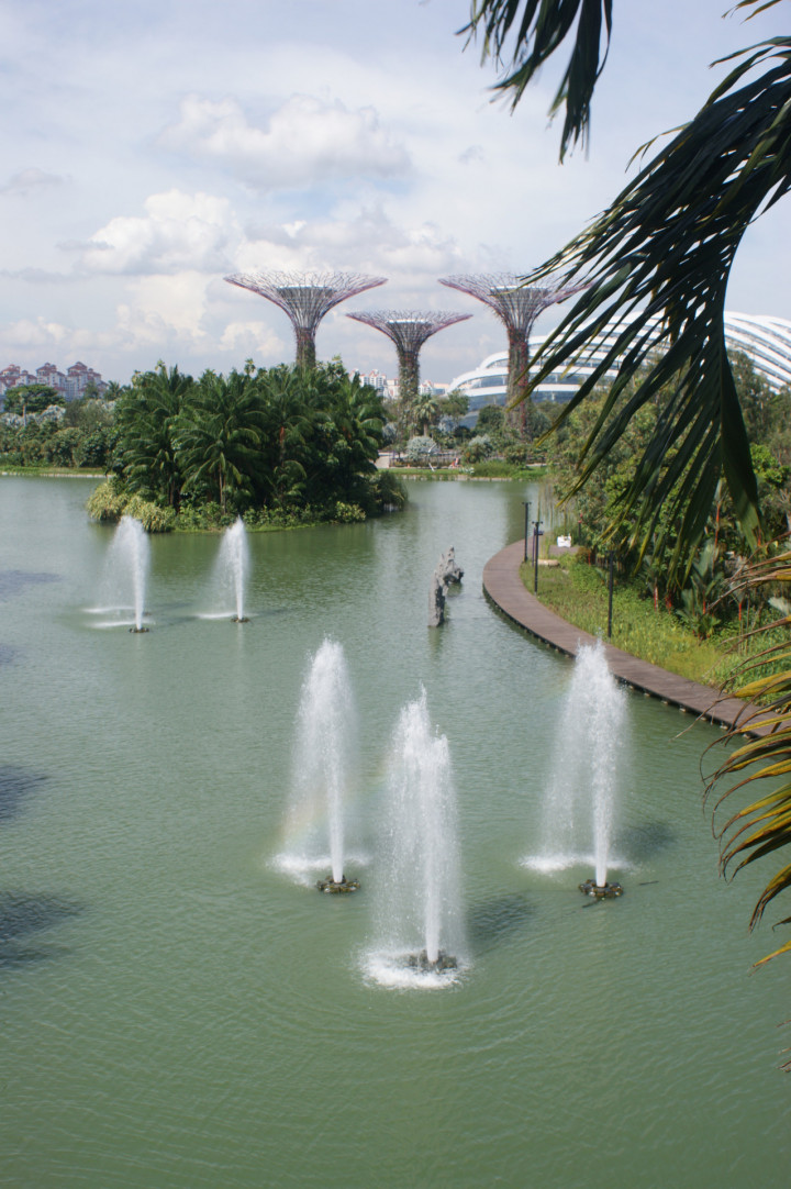 Singapore (12)