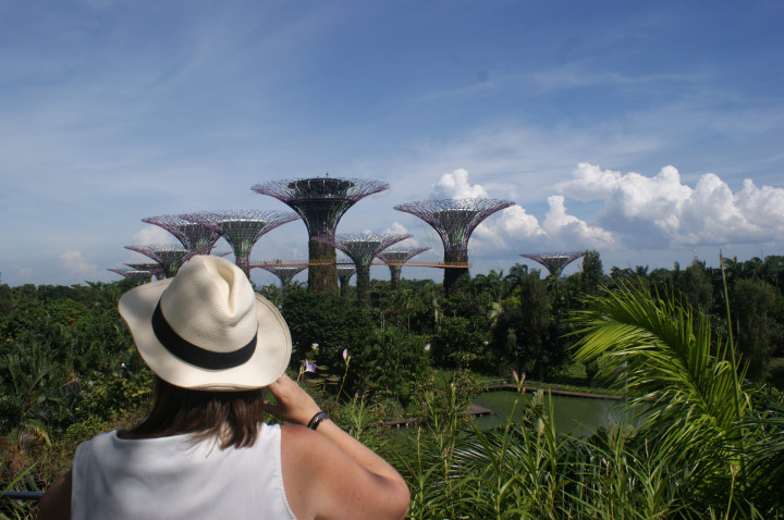Singapore (6)