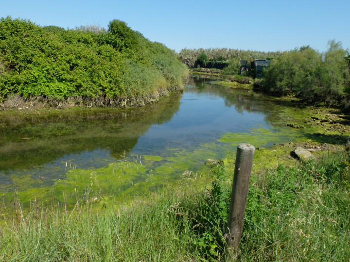 Venetie Lido Fietsen Wanderjack (39)