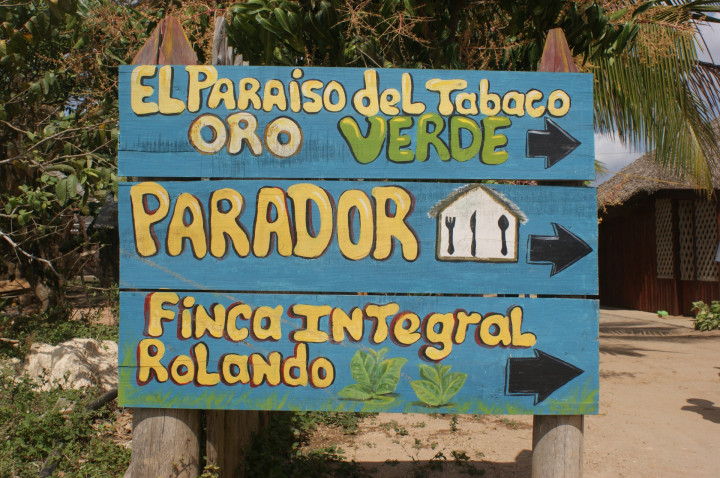 Vinales Tabaksplantage (4)