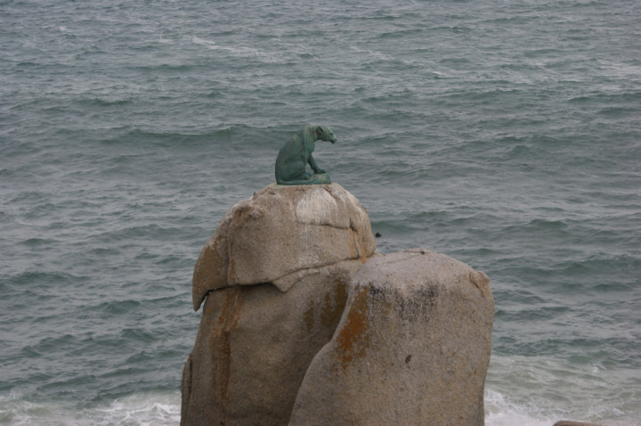 Zuid Afrika Houtbaai